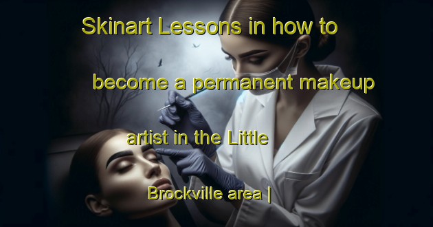Skinart Lessons in how to become a permanent makeup artist in the Little Brockville area | PermanentmakeupTraining | PermanentmakeupClasses | SkinartTraining-Canada